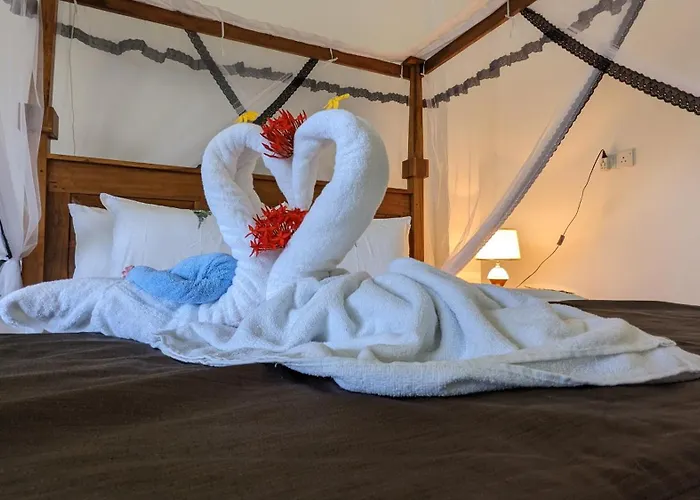 Lake View Nest