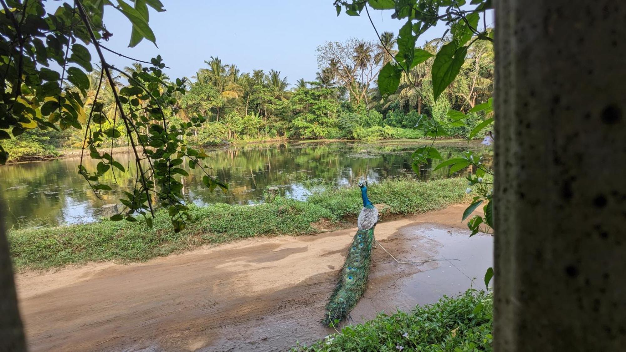 Homestay View Nest