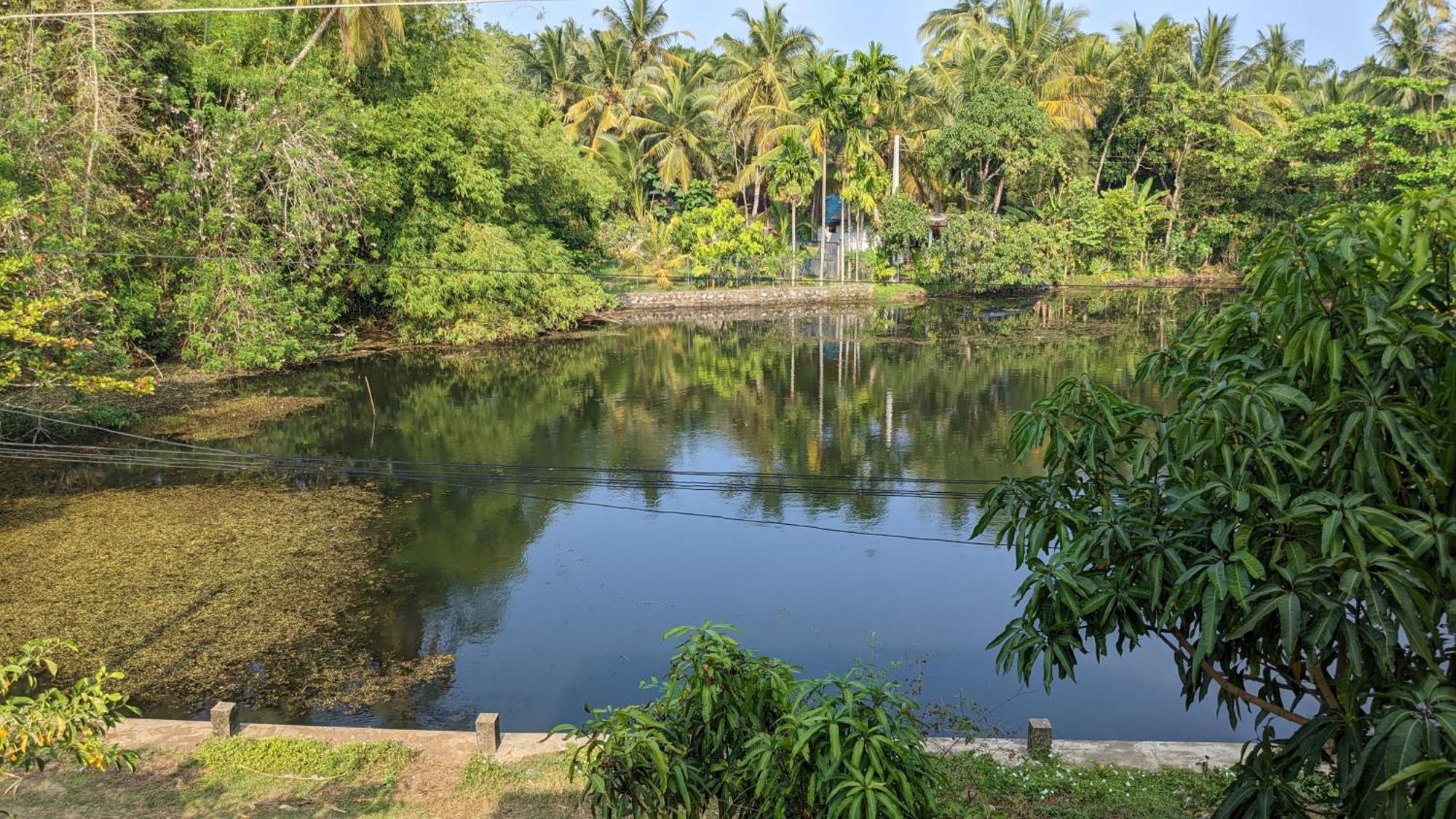 View Nest Homestay Tangalle