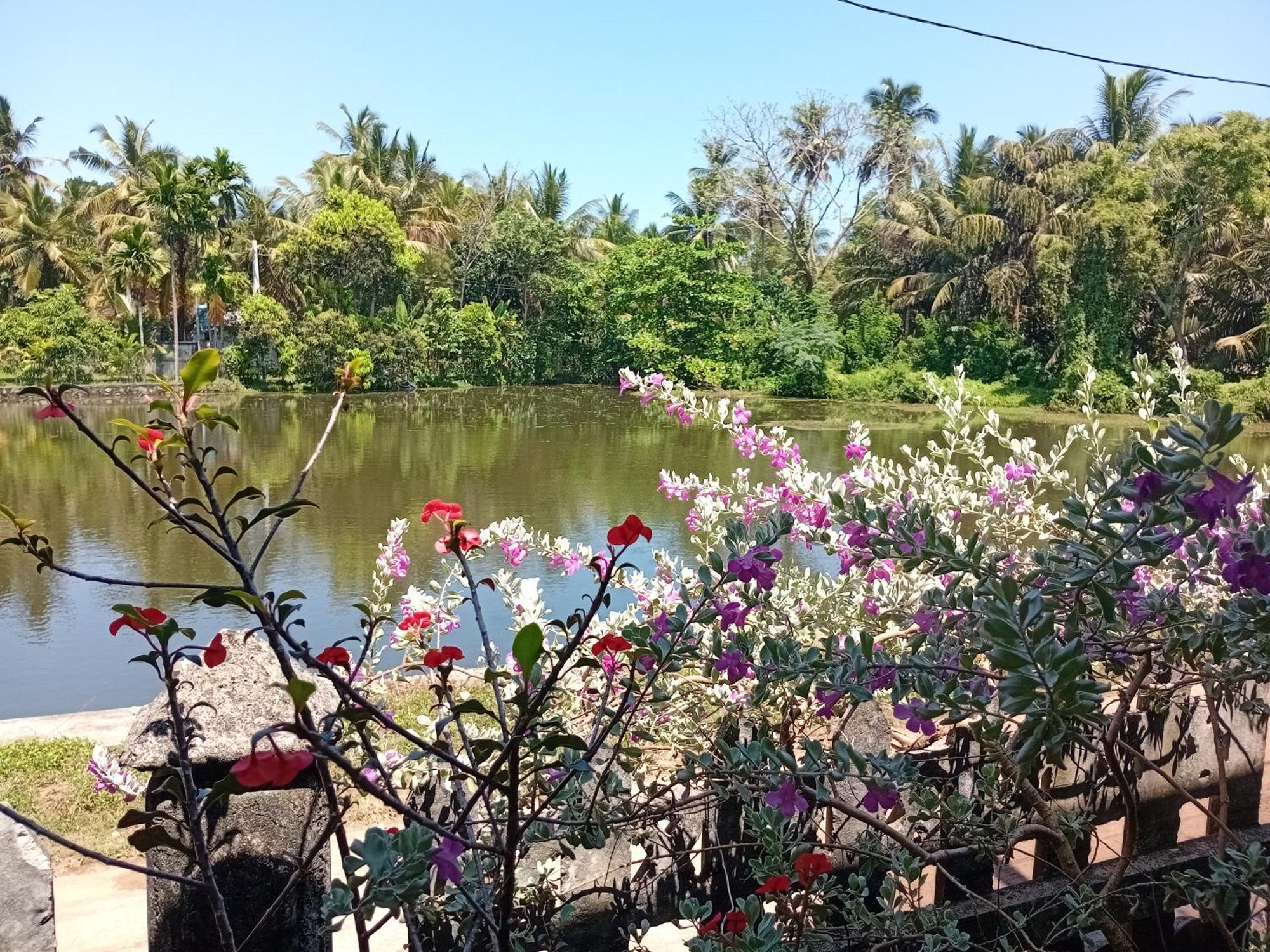View Nest * Tangalle
